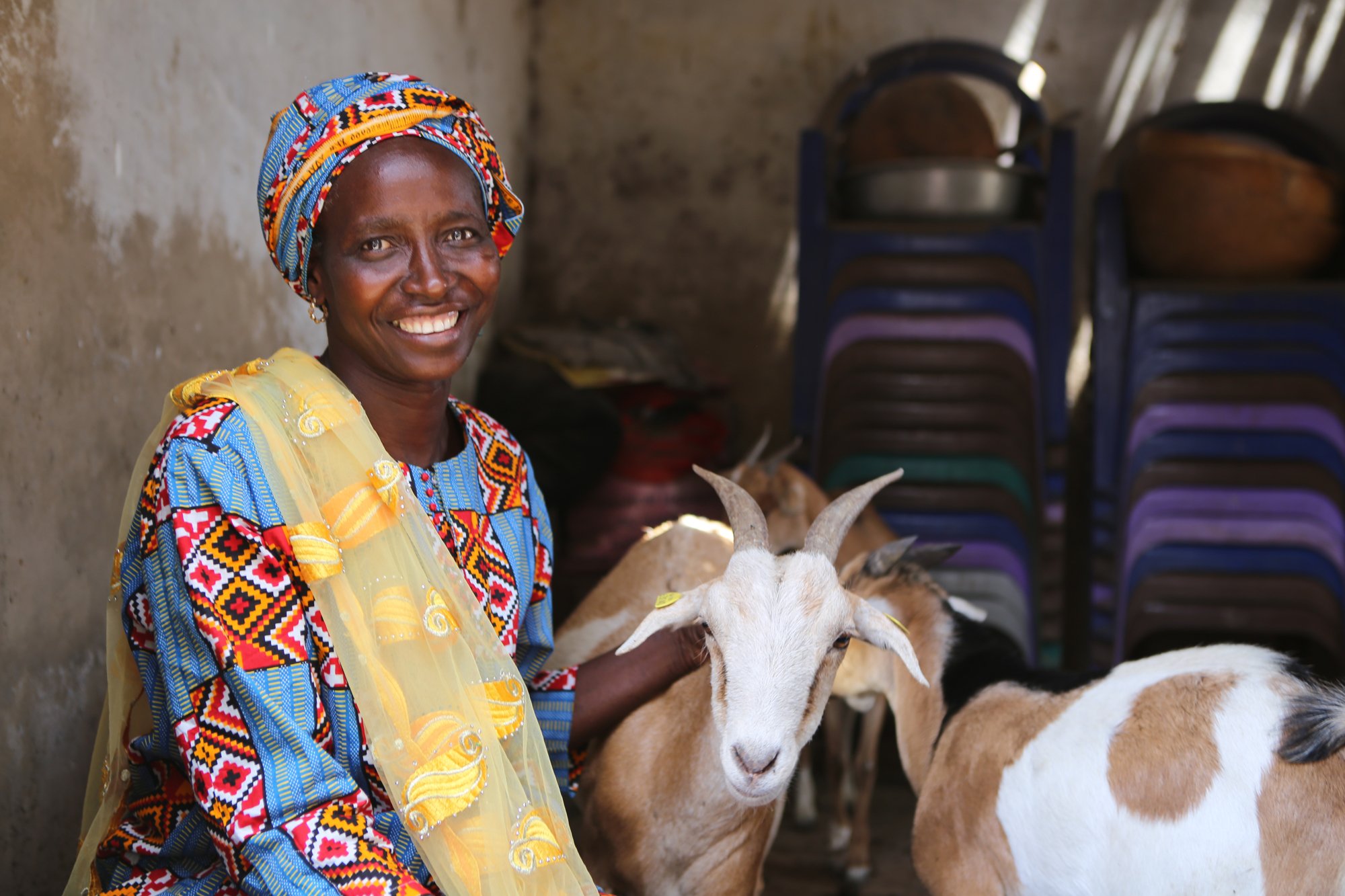 W335-0041-021-resized