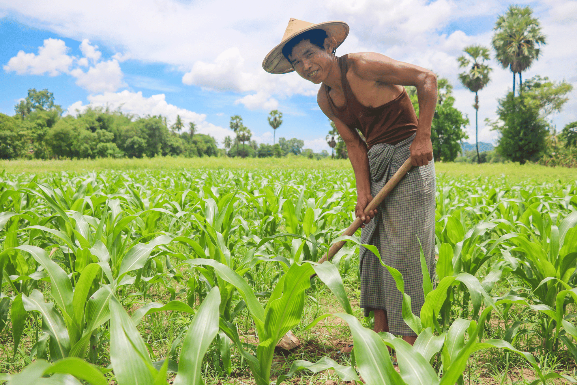 ok-Daw-Mar-Mar-Aye_VFM_Hpa-An-Branch_Individual-Loan_13