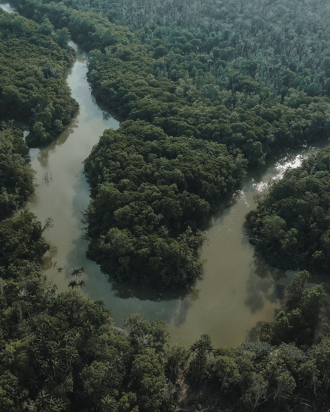 World Vision and VisionFund Insurance Advance a Climate Protection for Vulnerable Communities in the Amazon Basin 