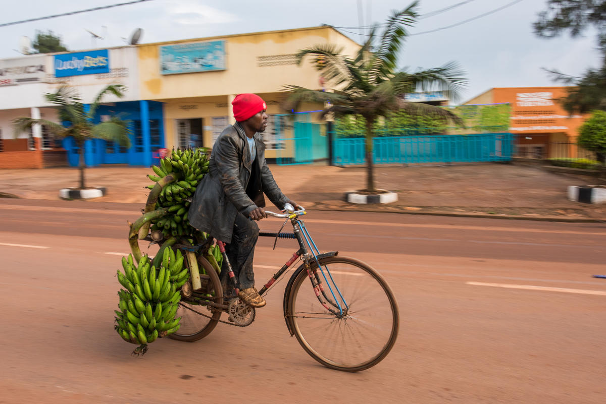Mobile Banking Impacted Rwandan Farmers in Pandemic