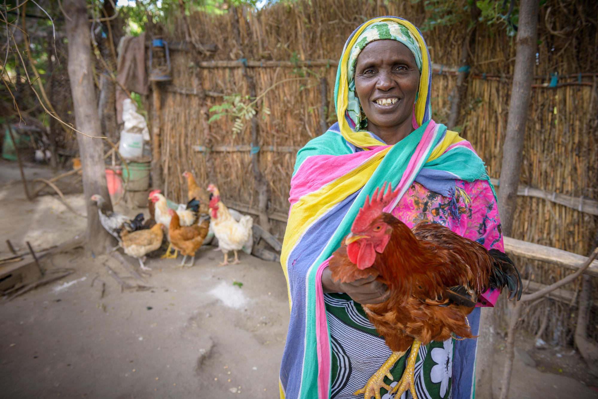 Incubating More Than Dreams