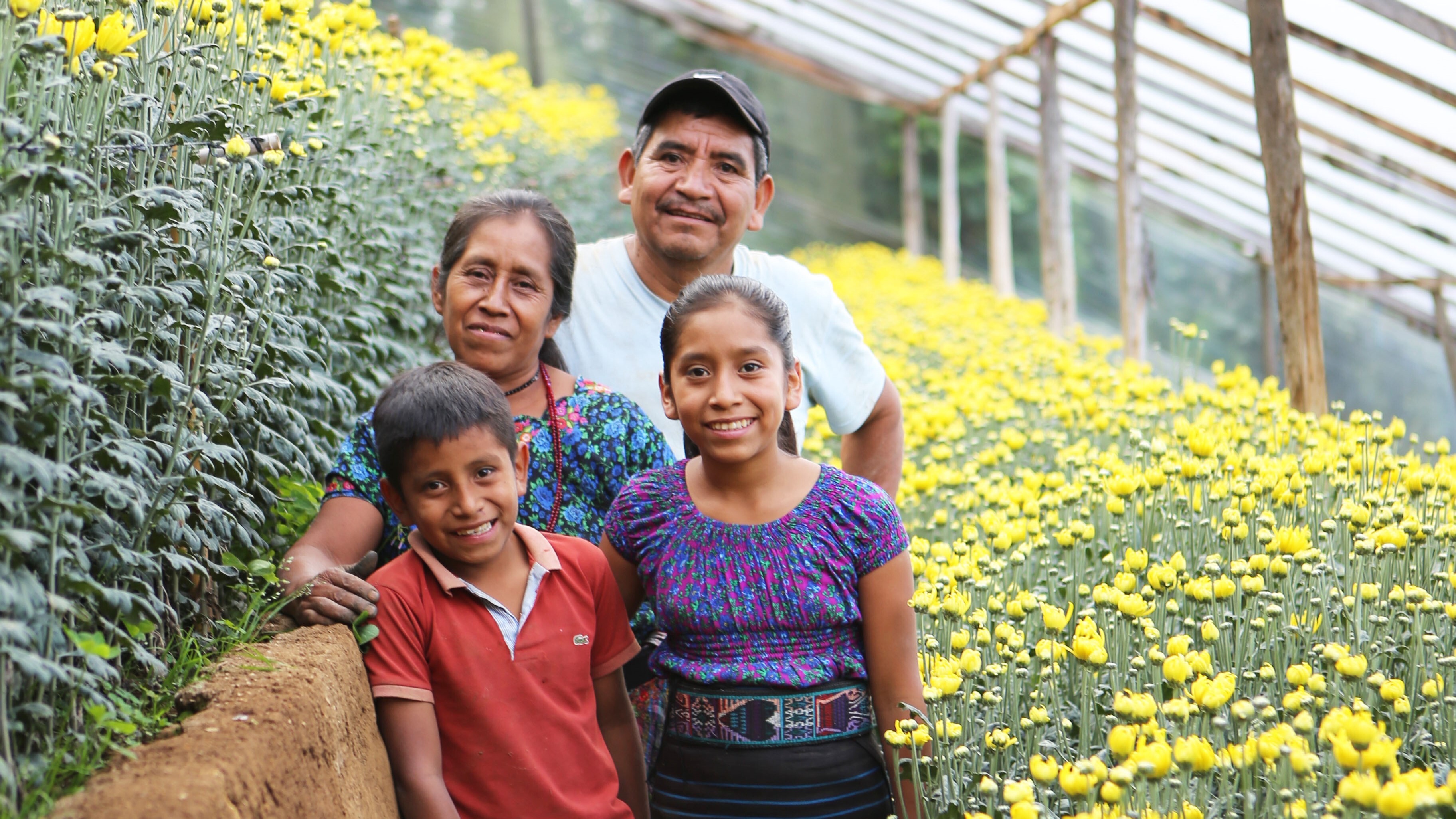 Flowers of Hope: Trinidad's Transformation and the Digital Revolution in Rural Guatemala