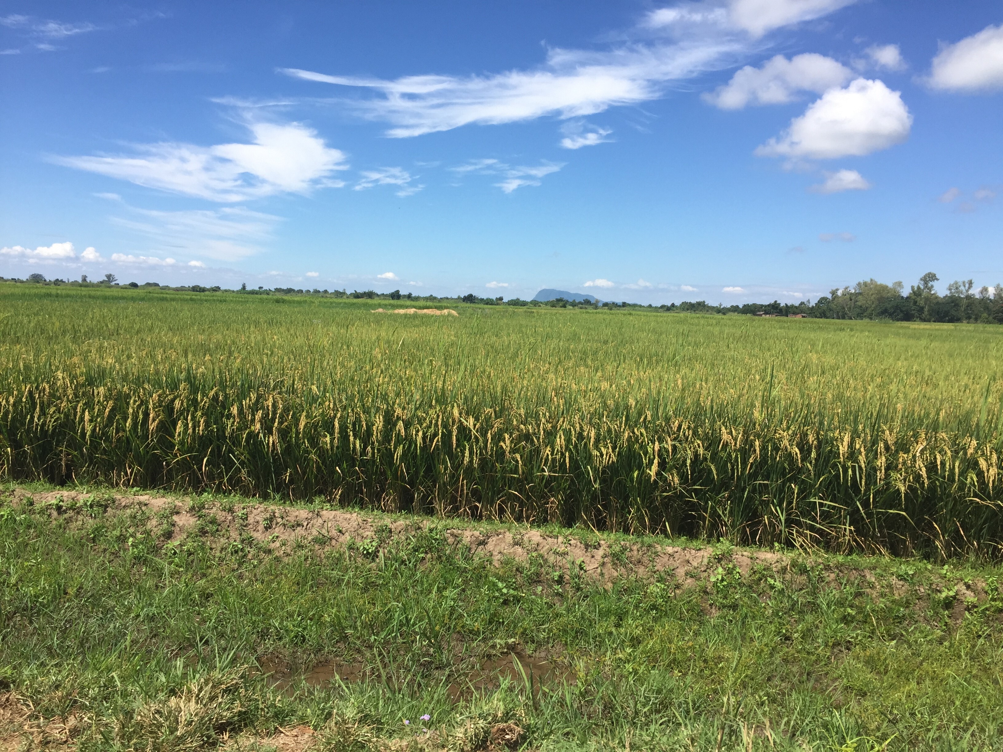 Measuring Economic Development in Latin America