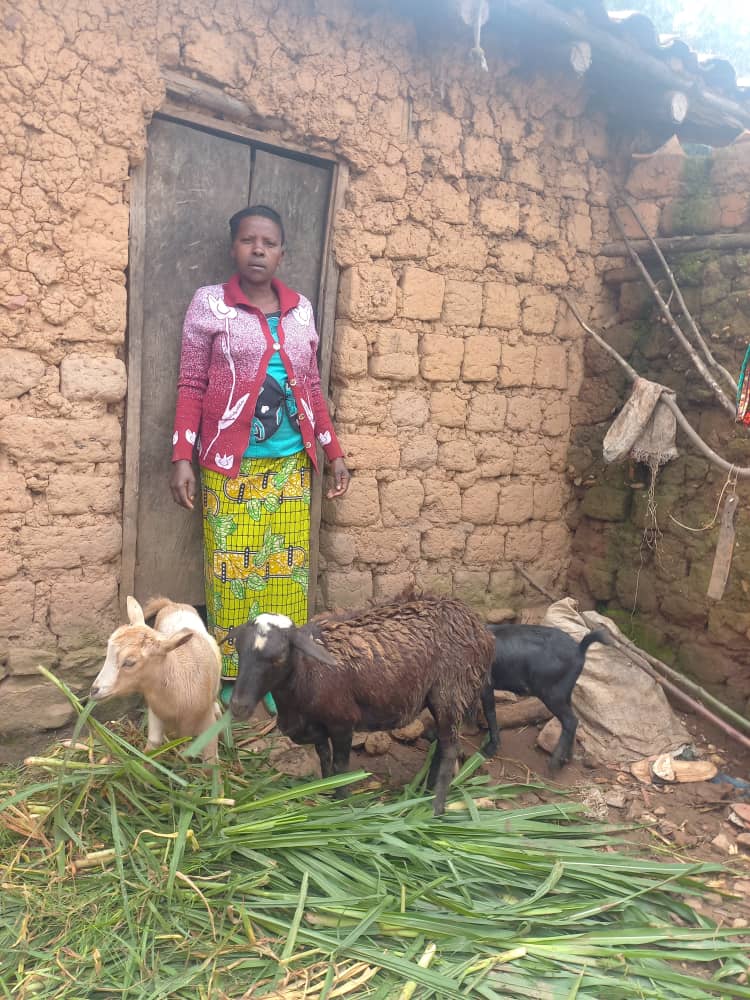 A Bright Future With Chickens and Eggs