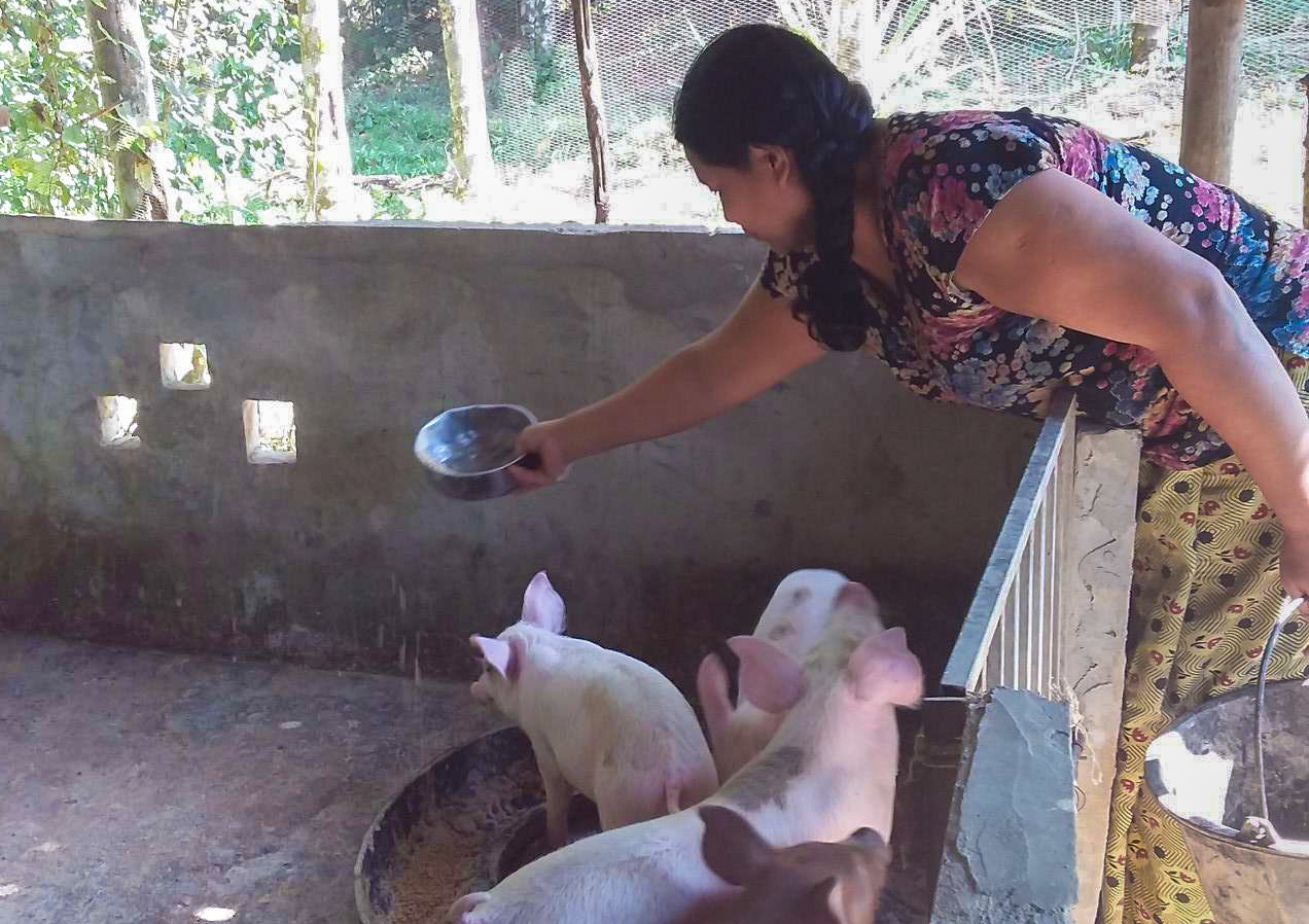 Business Diversity means Surviving a Crisis 