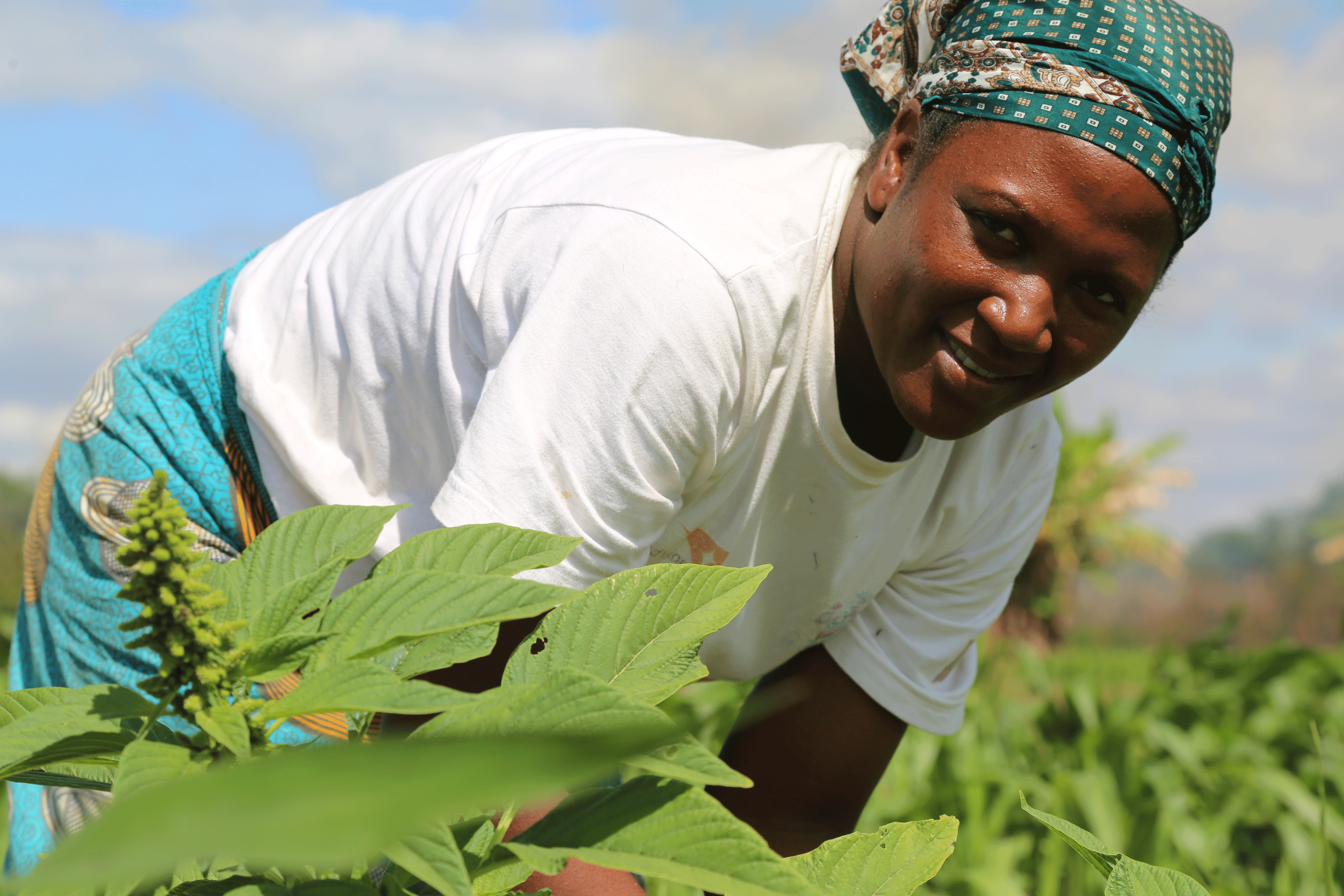 Surviving Drought and Flooding