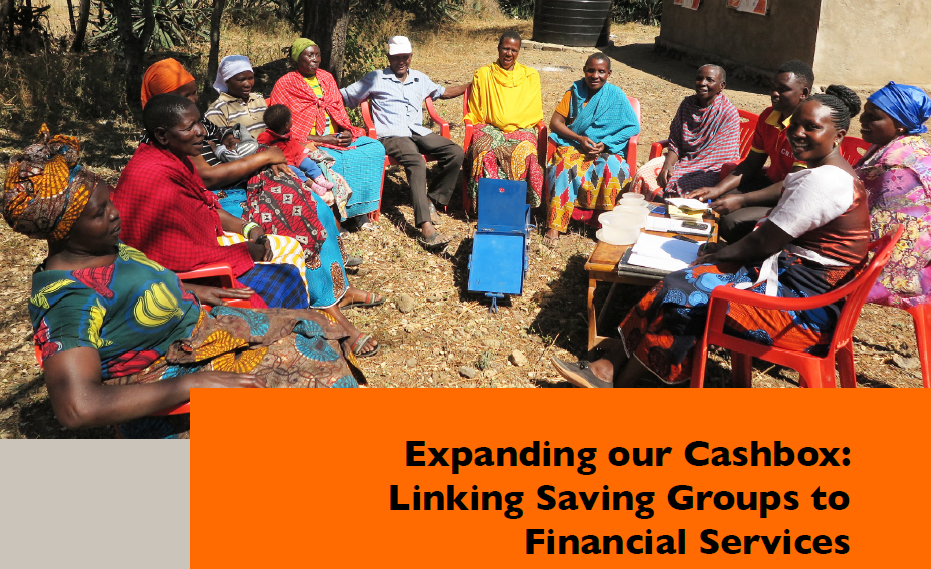 Linking Saving Groups to Financial Services