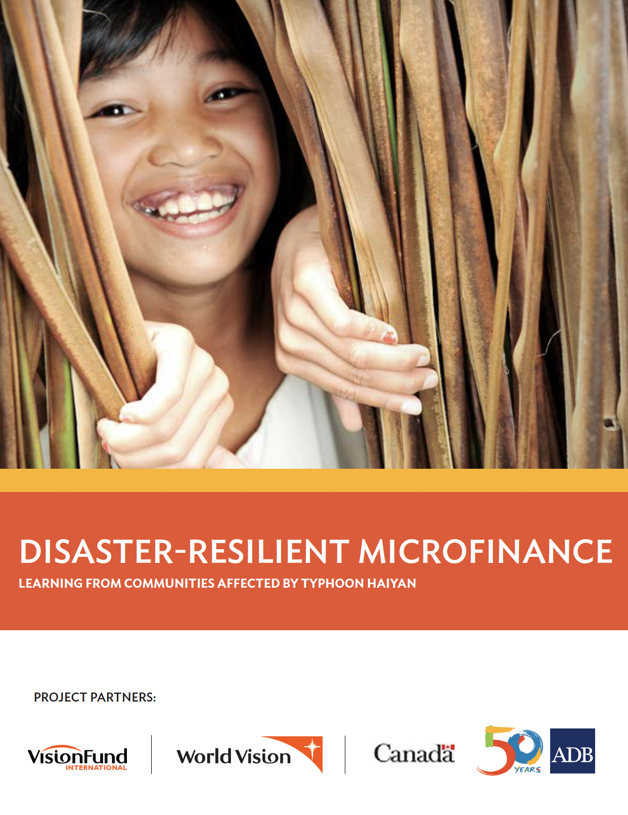 Disaster-resilient microfinance: Learning from communities affected by Typhoon Haiyan